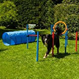 Dog Agility Set K2