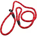 Westeng Hundeleine, Nylon, Trainingsleine, verstellbare Schlaufe, 1,2 m, rot